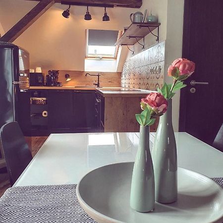 Apartmany Silvestr Dolni Rychnov Экстерьер фото