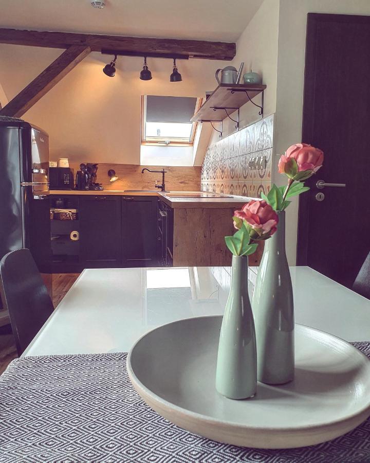 Apartmany Silvestr Dolni Rychnov Экстерьер фото